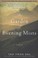 Go to record The garden of evening mists : a novel