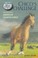 Go to record Chico's challenge : the story of an American Quarter Horse